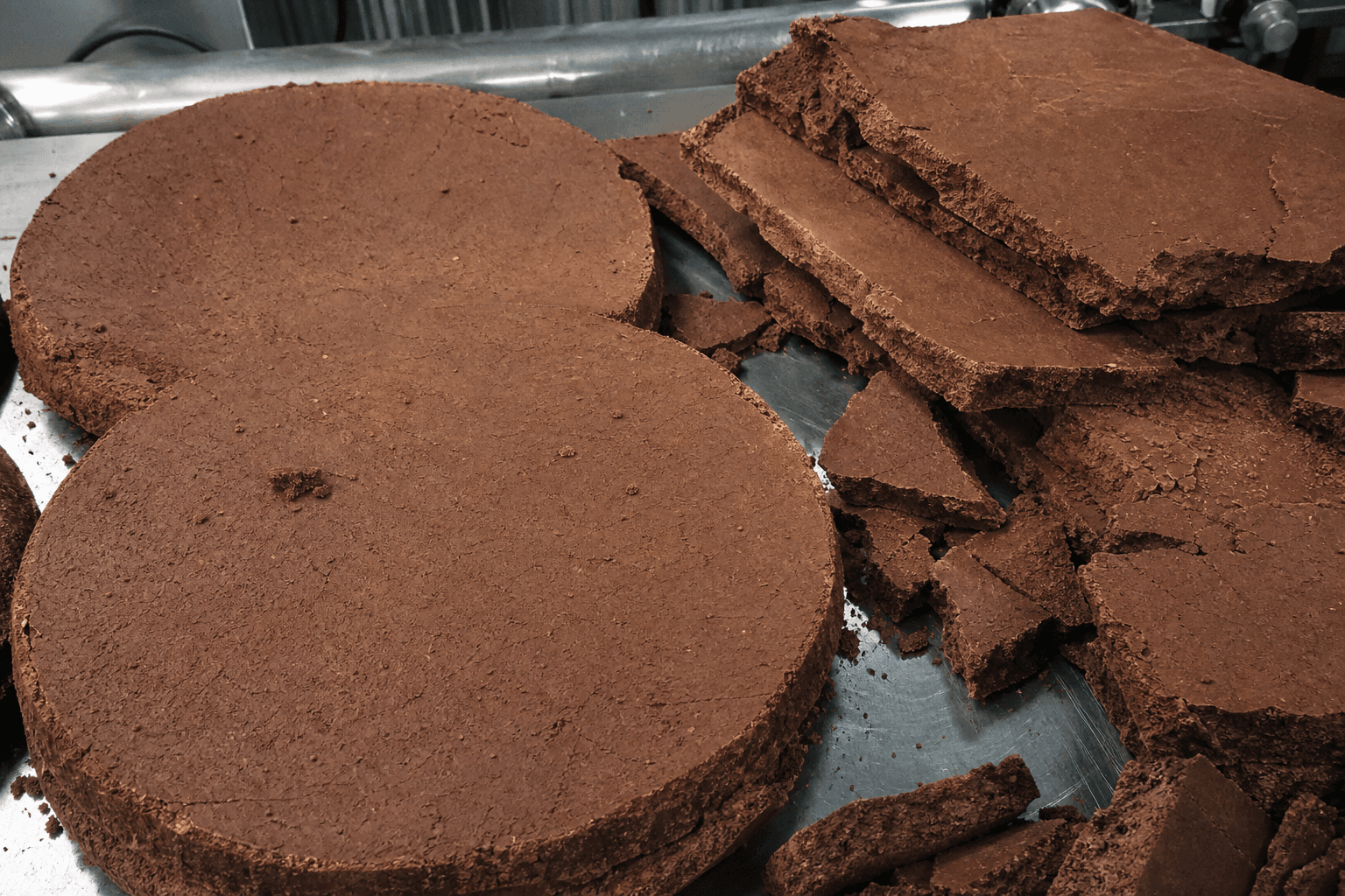 Cocoa cake